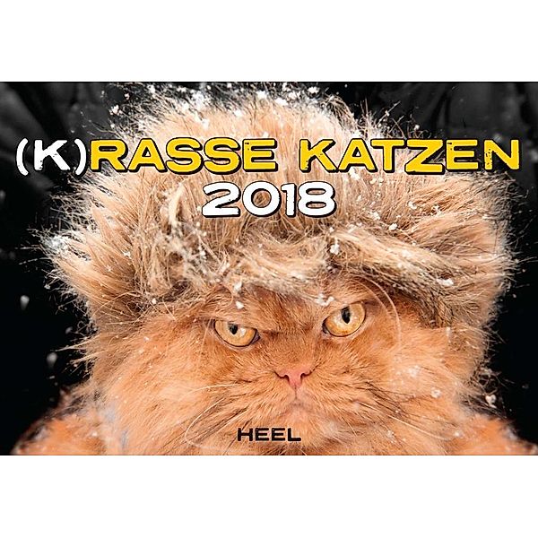 (K)Rasse Katzen 2018