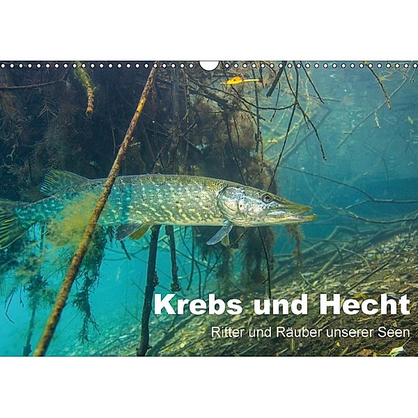 Krebs und Hecht - Ritter und Räuber unserer Seen (Wandkalender 2018 DIN A3 quer), Christian Suttrop