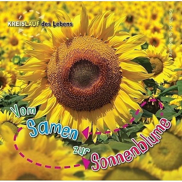 Kreislauf des Lebens / Vom Samen zur Sonnenblume, Camilla De la Bedoyere