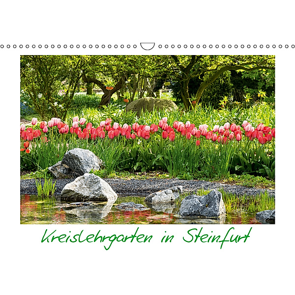 Kreislehrgarten in Steinfurt (Wandkalender 2019 DIN A3 quer), Michael Bücker