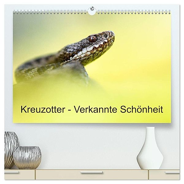 Kreuzotter - Verkannte Schönheit (hochwertiger Premium Wandkalender 2024 DIN A2 quer), Kunstdruck in Hochglanz, Thomas Marth