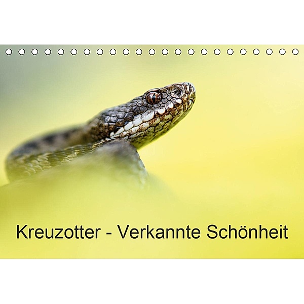 Kreuzotter - Verkannte Schönheit (Tischkalender 2020 DIN A5 quer), Thomas Marth