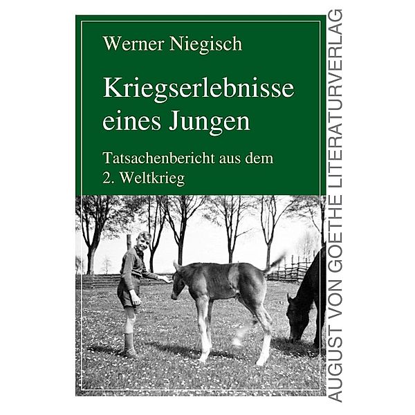 Kriegserlebnisse eines Jungen, Werner Niegisch