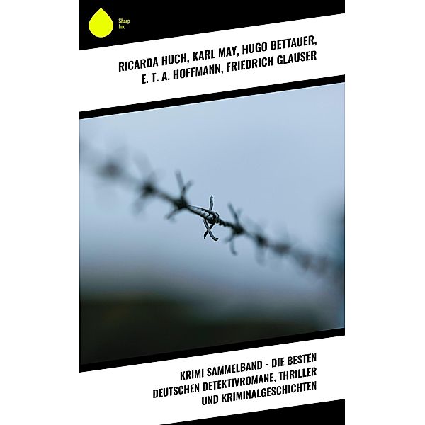 Krimi Sammelband - Die besten deutschen Detektivromane, Thriller und Kriminalgeschichten, Ricarda Huch, Karl May, Hugo Bettauer, E. T. A. Hoffmann, Friedrich Glauser