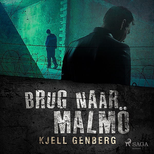 Kriminalkommissarie Arnold Nyman - 3 - Brug naar Malmö, Kjell E. Genberg