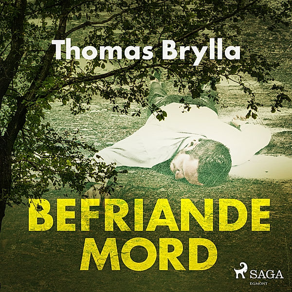 Kriminalkommissarie Staffan Öhrn och advokaten Peter Bromander - Befriande mord, Thomas Brylla