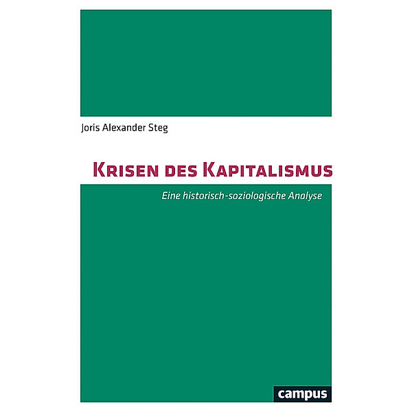 Krisen des Kapitalismus, Joris A. Steg