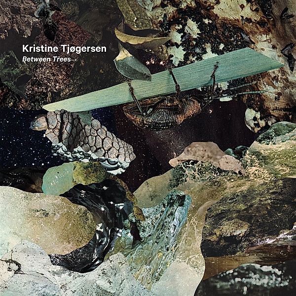 Kristine Tjogersen: Between Trees, Norwegian Radio Orchestra