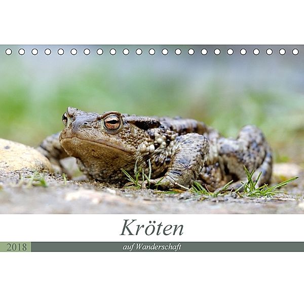 Kröten auf Wanderschaft (Tischkalender 2018 DIN A5 quer), Johann Rudolf Bogner