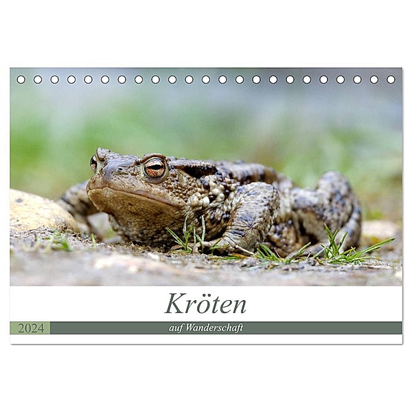 Kröten auf Wanderschaft (Tischkalender 2024 DIN A5 quer), CALVENDO Monatskalender, Johann Rudolf Bogner