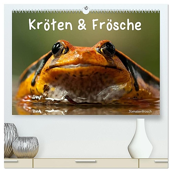 Kröten & Frösche (hochwertiger Premium Wandkalender 2024 DIN A2 quer), Kunstdruck in Hochglanz, Elisabeth Stanzer