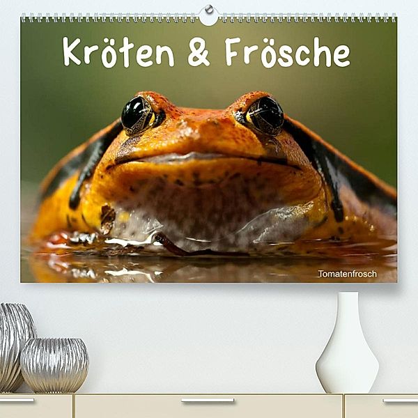 Kröten & Frösche (Premium, hochwertiger DIN A2 Wandkalender 2023, Kunstdruck in Hochglanz), Elisabeth Stanzer