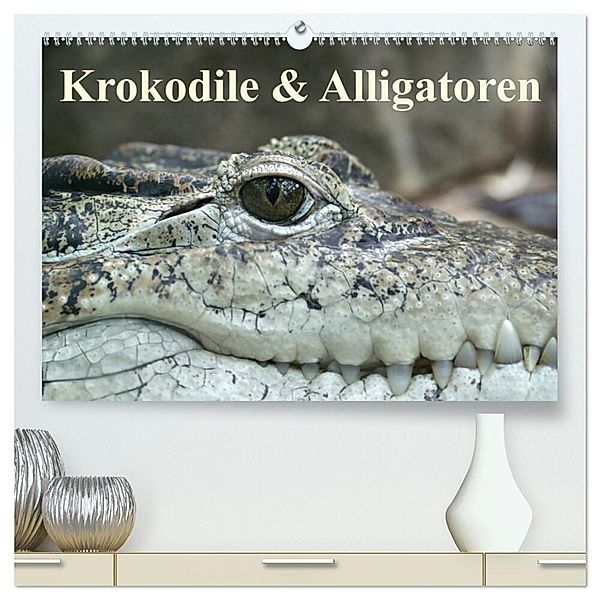 Krokodile & Alligatoren (hochwertiger Premium Wandkalender 2024 DIN A2 quer), Kunstdruck in Hochglanz, Elisabeth Stanzer