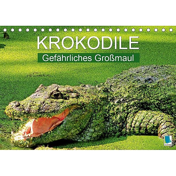 Krokodile: Gefährliches Großmaul (Tischkalender 2021 DIN A5 quer), Calvendo