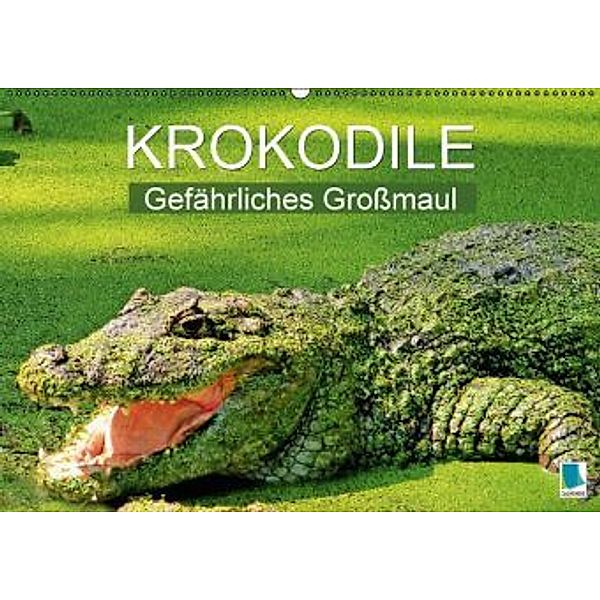 Krokodile: Gefährliches Großmaul (Wandkalender 2016 DIN A2 quer), Calvendo