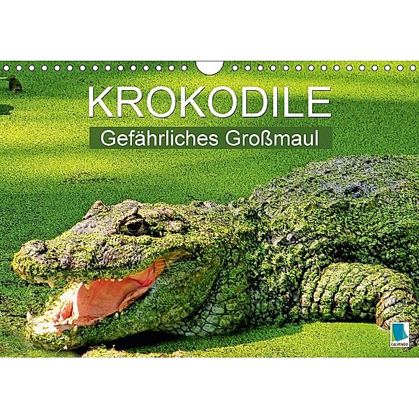 Krokodile: Gefährliches Großmaul (Wandkalender 2018 DIN A4 quer), Calvendo