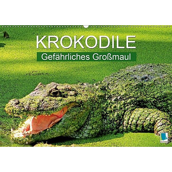 Krokodile: Gefährliches Großmaul (Wandkalender 2020 DIN A2 quer)