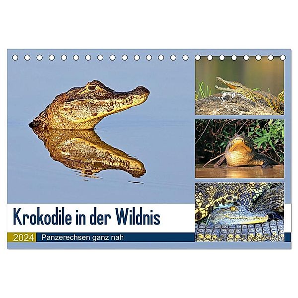 Krokodile in der Wildnis (Tischkalender 2024 DIN A5 quer), CALVENDO Monatskalender, Yvonne und Michael Herzog