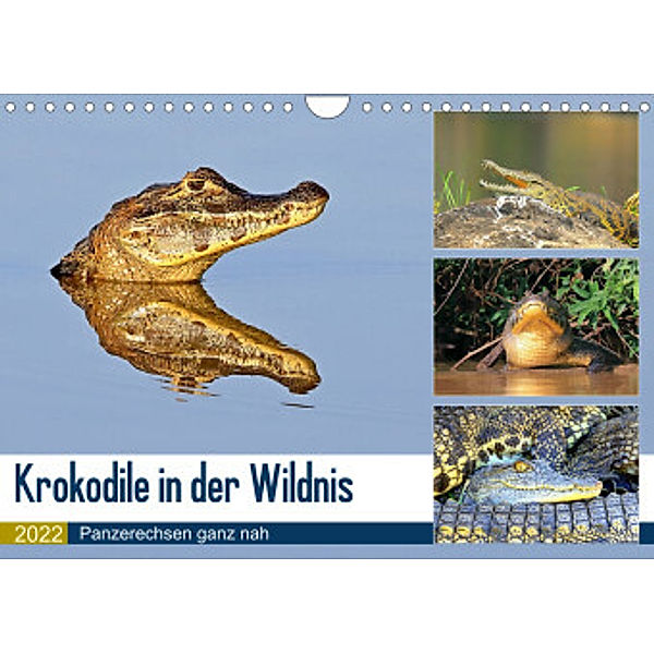 Krokodile in der Wildnis (Wandkalender 2022 DIN A4 quer), Yvonne und Michael Herzog