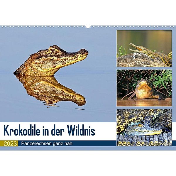 Krokodile in der Wildnis (Wandkalender 2023 DIN A2 quer), Yvonne und Michael Herzog