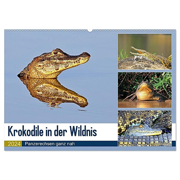 Krokodile in der Wildnis (Wandkalender 2024 DIN A2 quer), CALVENDO Monatskalender, Yvonne und Michael Herzog
