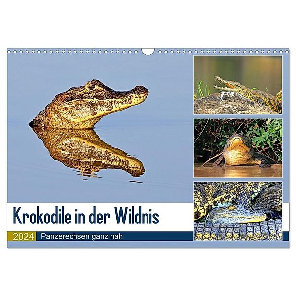 Krokodile in der Wildnis (Wandkalender 2024 DIN A3 quer), CALVENDO Monatskalender, Yvonne und Michael Herzog