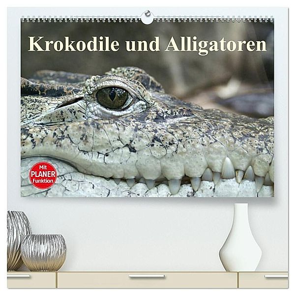 Krokodile und Alligatoren (hochwertiger Premium Wandkalender 2024 DIN A2 quer), Kunstdruck in Hochglanz, Elisabeth Stanzer