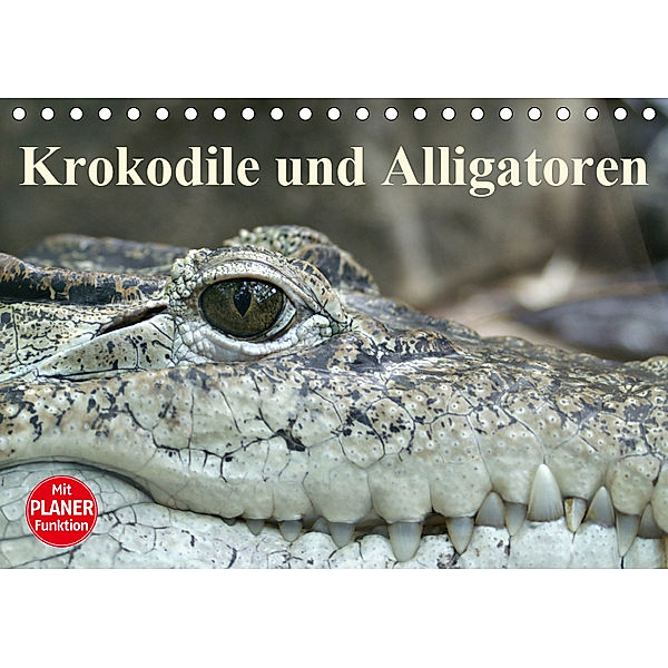 Krokodile und Alligatoren (Tischkalender 2019 DIN A5 quer), Elisabeth Stanzer