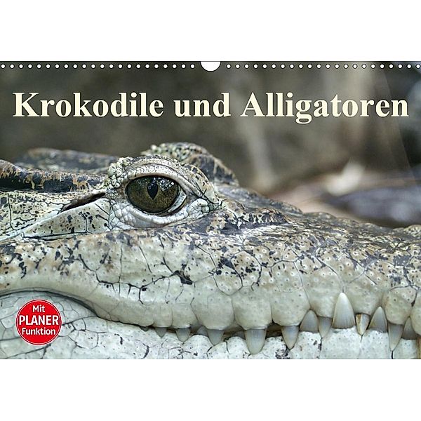 Krokodile und Alligatoren (Wandkalender 2021 DIN A3 quer), Elisabeth Stanzer