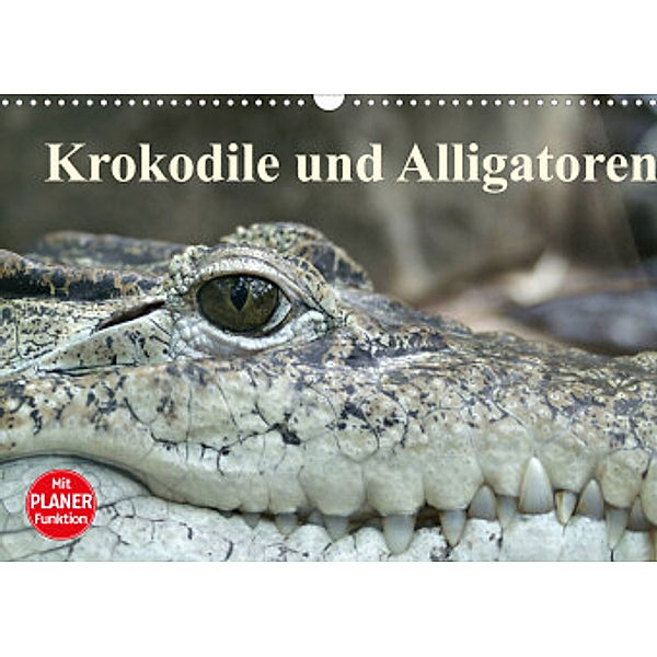 Krokodile und Alligatoren (Wandkalender 2022 DIN A3 quer), Elisabeth Stanzer