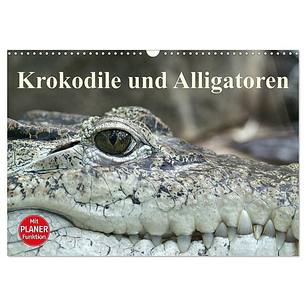 Krokodile und Alligatoren (Wandkalender 2024 DIN A3 quer), CALVENDO Monatskalender, Elisabeth Stanzer