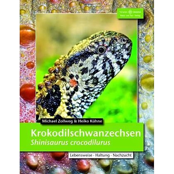 Krokodilschwanzechse, Michael Zollweg, Heiko Kühne