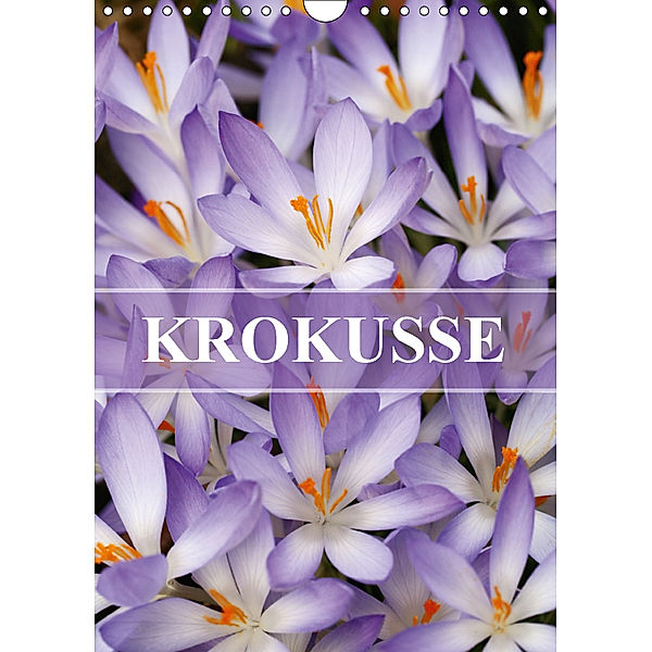KROKUSSE (Wandkalender 2018 DIN A4 hoch), Gisela Kruse