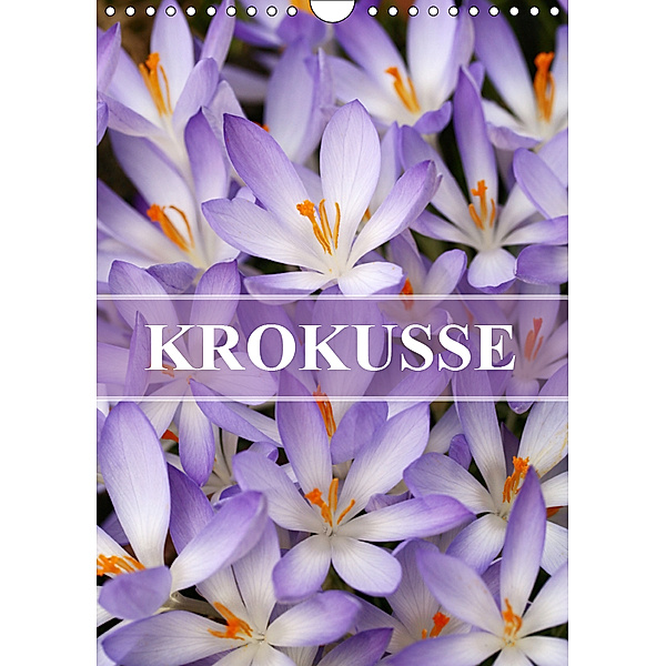 KROKUSSE (Wandkalender 2019 DIN A4 hoch), Gisela Kruse