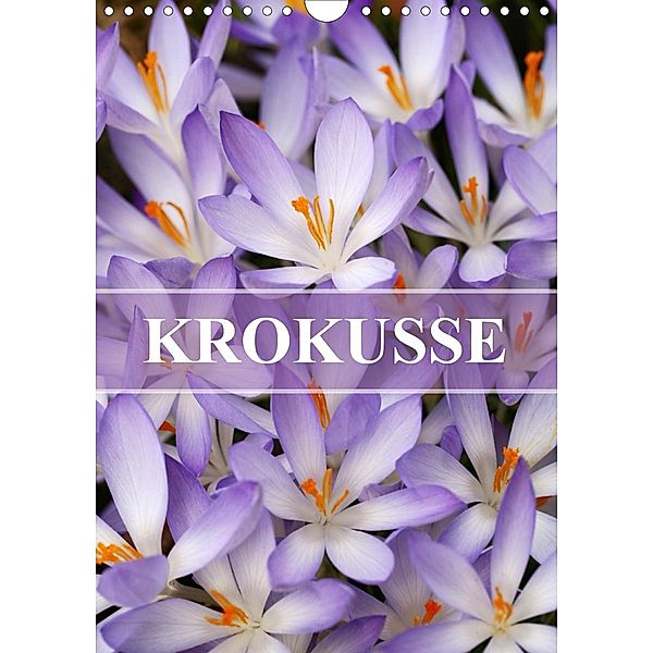 KROKUSSE (Wandkalender 2020 DIN A4 hoch), Gisela Kruse