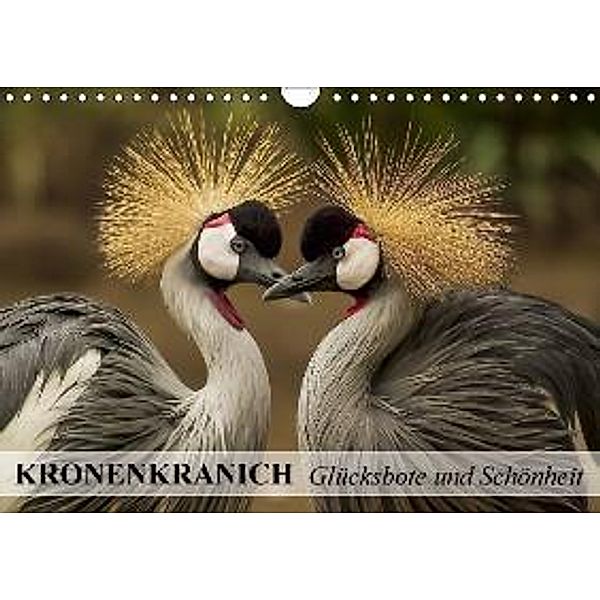 Kronenkranich. Glücksbote und Schönheit (Wandkalender 2016 DIN A4 quer), Elisabeth Stanzer