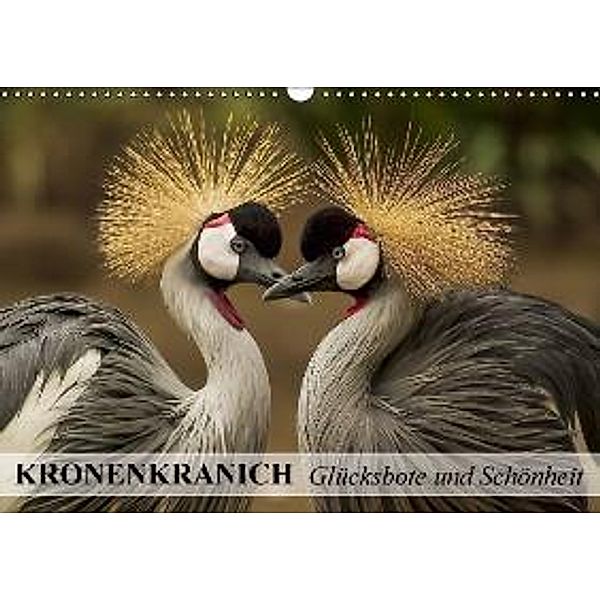 Kronenkranich. Glücksbote und Schönheit (Wandkalender 2016 DIN A3 quer), Elisabeth Stanzer