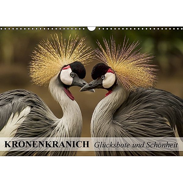 Kronenkranich. Glücksbote und Schönheit (Wandkalender 2018 DIN A3 quer), Elisabeth Stanzer