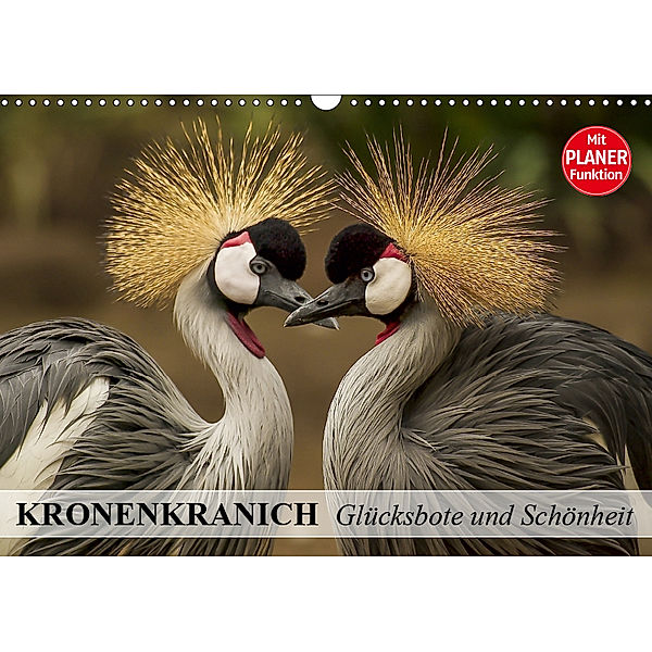 Kronenkranich. Glücksbote und Schönheit (Wandkalender 2019 DIN A3 quer), Elisabeth Stanzer