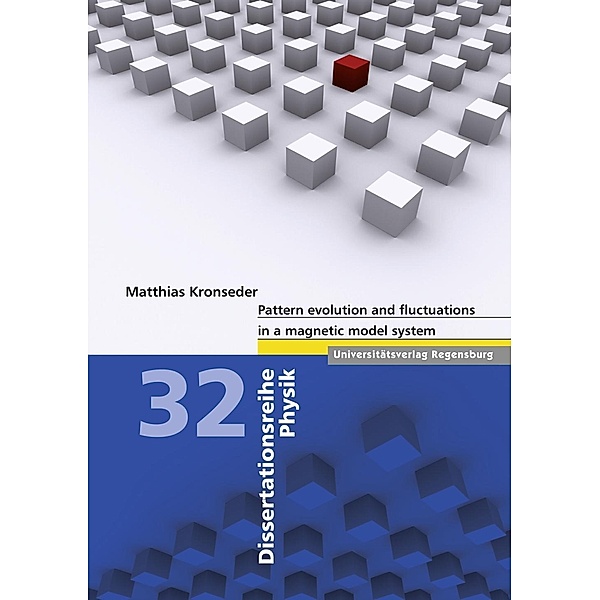 Kronseder, M: Pattern evolution  in a magnetic model system, Matthias Kronseder