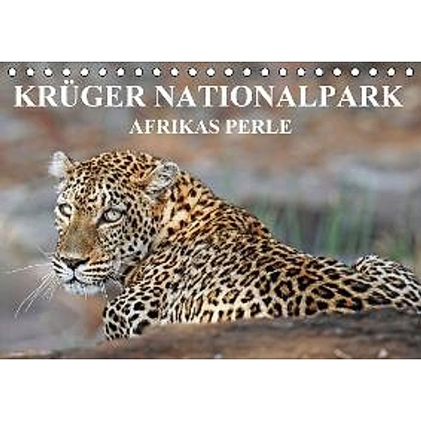 KRÜGER NATIONALPARK Afrikas Perle (Tischkalender 2016 DIN A5 quer), Wibke Woyke