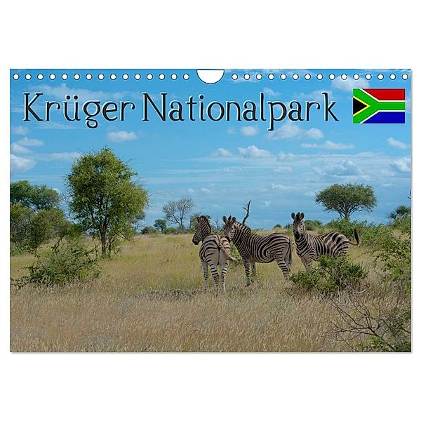 Krüger Nationalpark - Kalender 2025 (Wandkalender 2025 DIN A4 quer), CALVENDO Monatskalender, Calvendo, Matthias Blastyak