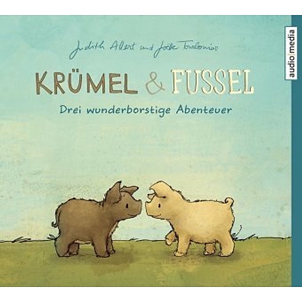Krümel und Fussel - Drei wunderborstige Abenteuer, 1 Audio-CD, Judith Allert