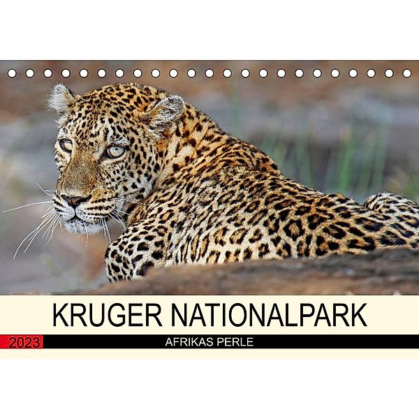 KRUGER NATIONALPARK Afrikas Perle (Tischkalender 2023 DIN A5 quer), Wibke Woyke