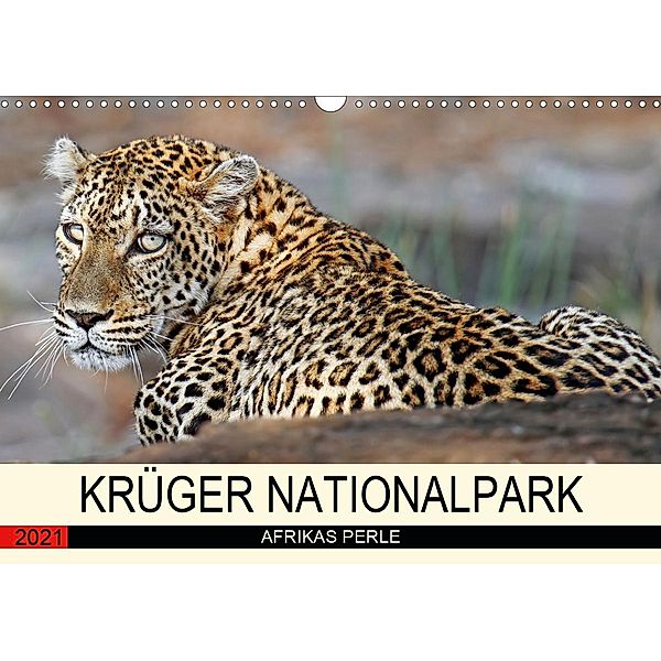 KRUGER NATIONALPARK Afrikas Perle (Wandkalender 2021 DIN A3 quer), Wibke Woyke