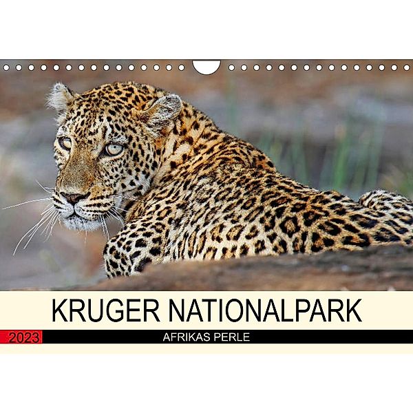 KRUGER NATIONALPARK Afrikas Perle (Wandkalender 2023 DIN A4 quer), Wibke Woyke