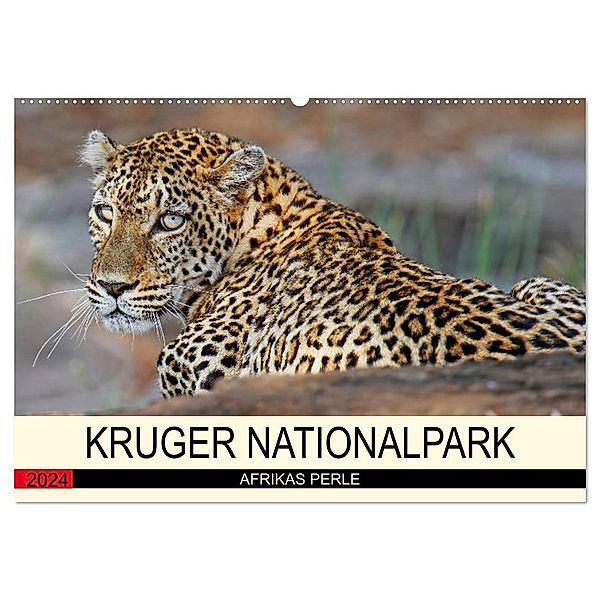 KRUGER NATIONALPARK Afrikas Perle (Wandkalender 2024 DIN A2 quer), CALVENDO Monatskalender, Wibke Woyke