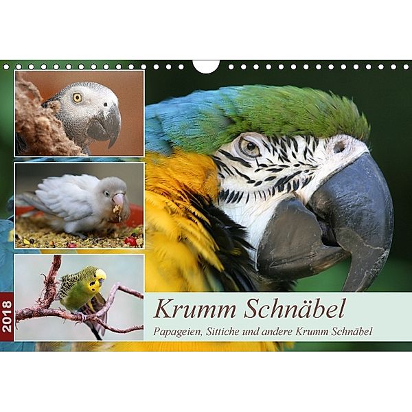 Krumm Schnäbel - Papageien, Sittiche und andere Krumm Schnäbel (Wandkalender 2018 DIN A4 quer), Barbara Mielewczyk