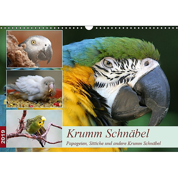 Krumm Schnäbel - Papageien, Sittiche und andere Krumm Schnäbel (Wandkalender 2019 DIN A3 quer), Barbara Mielewczyk