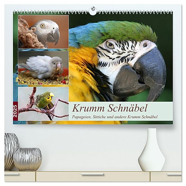 Krumm Schnäbel - Papageien, Sittiche und andere Krumm Schnäbel (hochwertiger Premium Wandkalender 2025 DIN A2 quer), Kunstdruck in Hochglanz, Calvendo, Barbara Mielewczyk